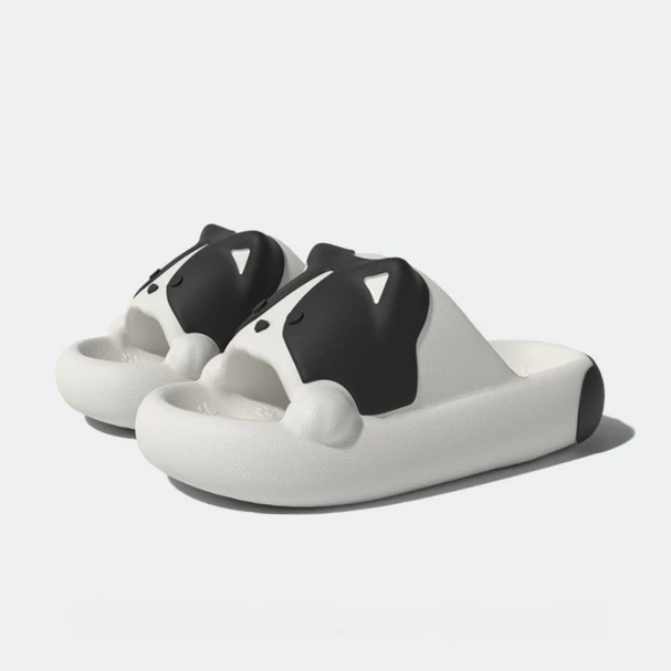 Corgi Slides