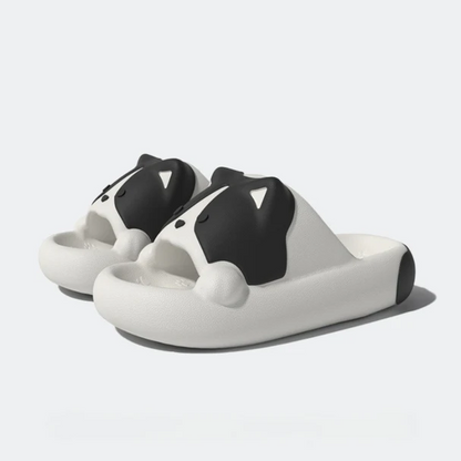 Corgi Slides
