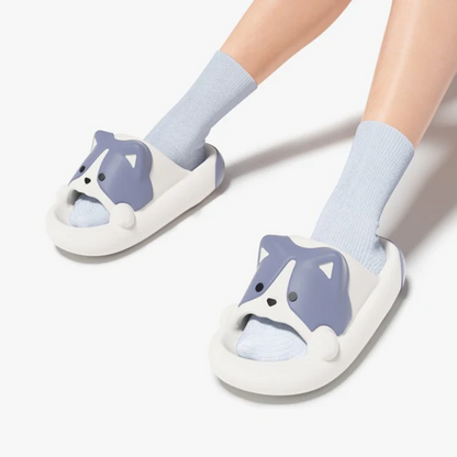 Corgi Slides
