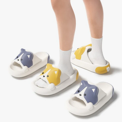 Corgi Slides