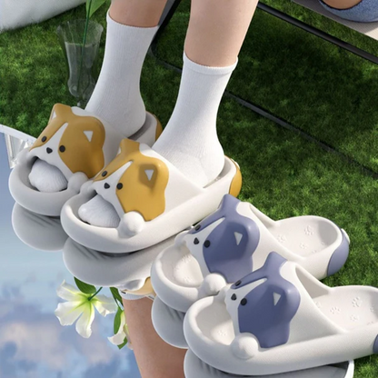 Corgi Slides