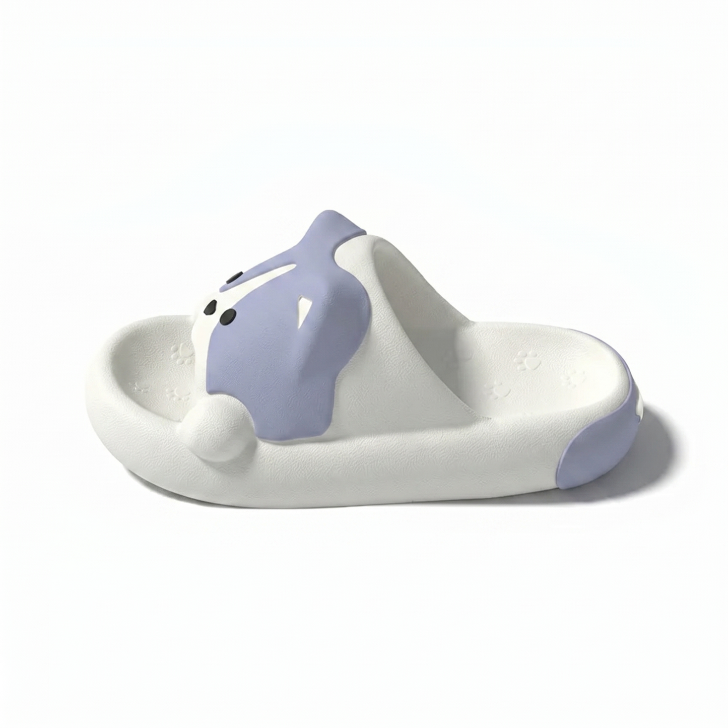 Corgi Slides