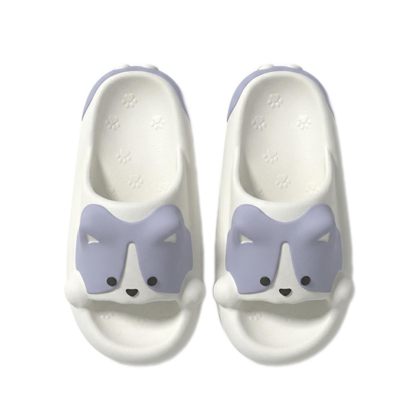 Corgi Slides